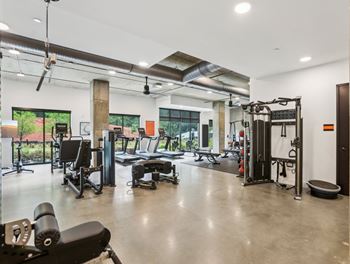 A spacious gym with a variety of equipment including a squat rack, bench press, and a rowing machine.